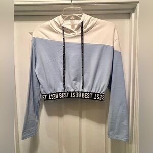 Women's Light Blue and White Cropped Hoodie